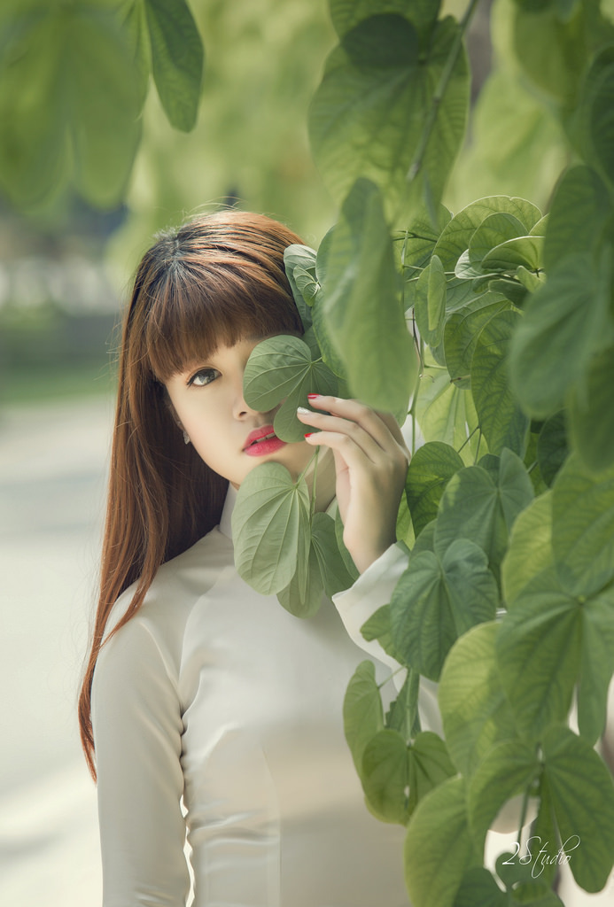 薔薇風(fēng)暴電視劇免費播放在線觀看高清